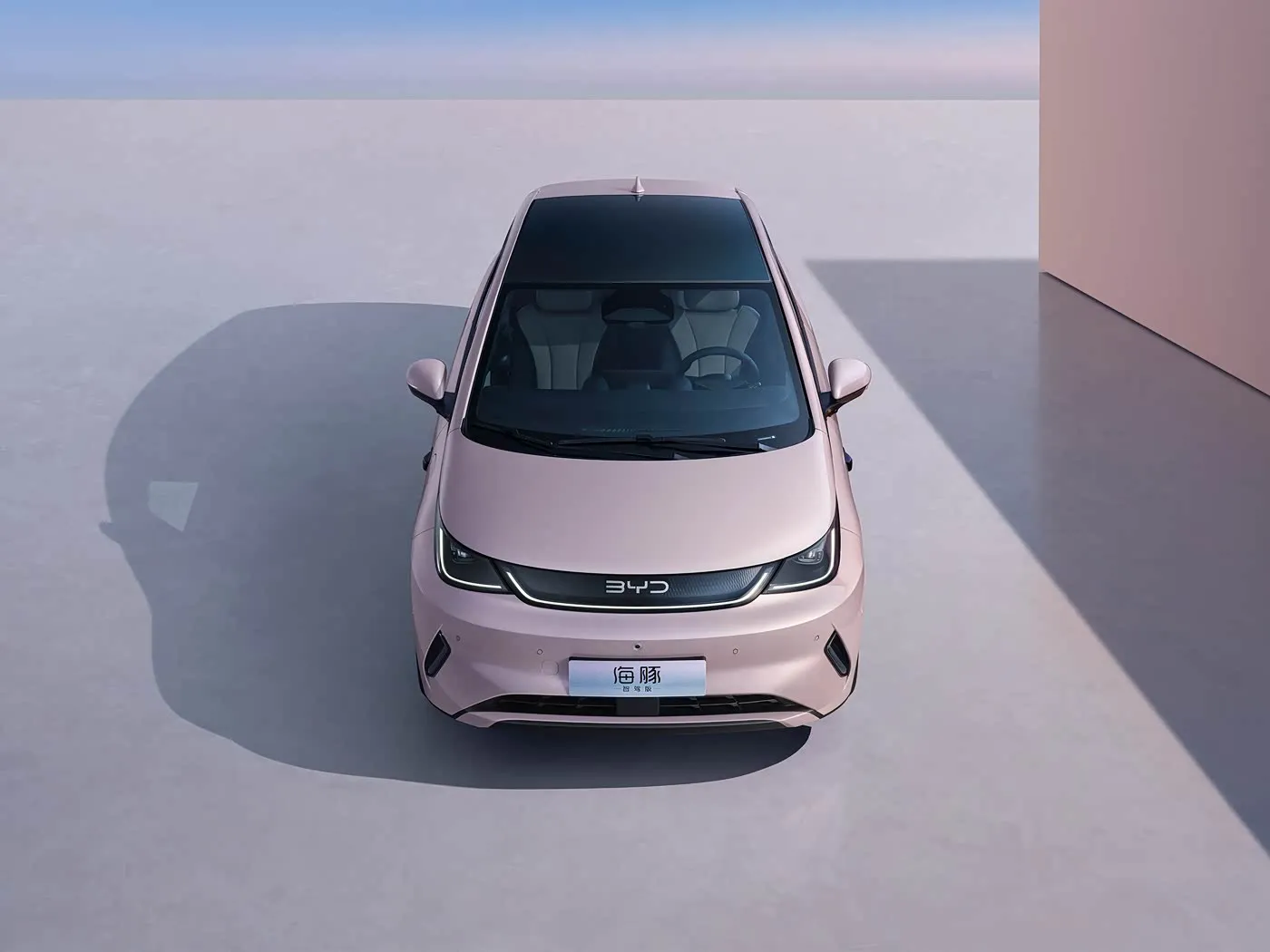 BYD Dolphin Urban Style Mini Electric Hatchback Fashion Edition com tecnologia inteligente Veículo de nova energia